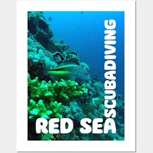 Red Sea Scuba Diving Posters and Art